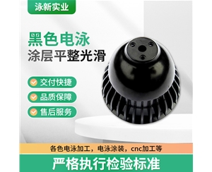 黑色電泳