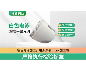 白色電泳