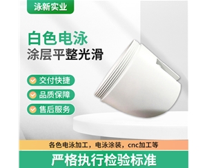 白色電泳